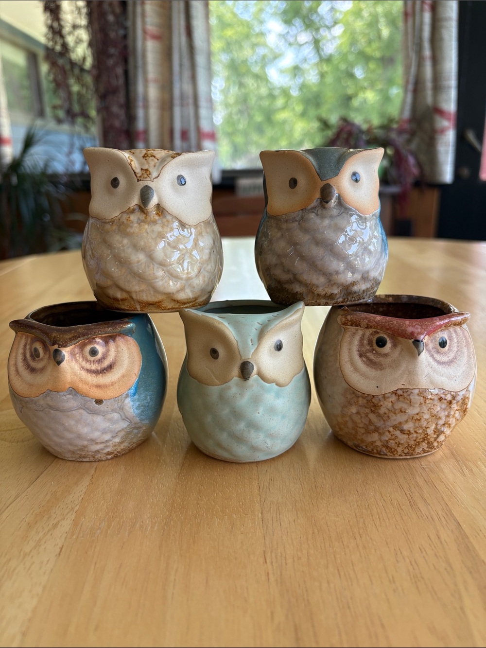 🦉 (5) Owl Succulent Ceramic Pots Set. Like new!